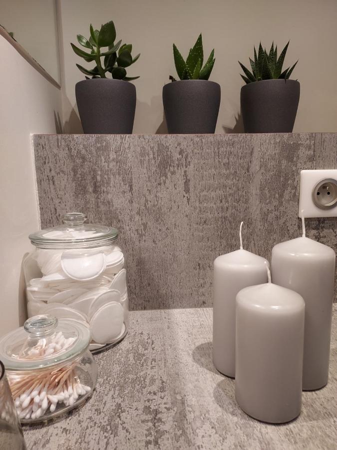 Boigne Sweet Suite Chambéry Kültér fotó