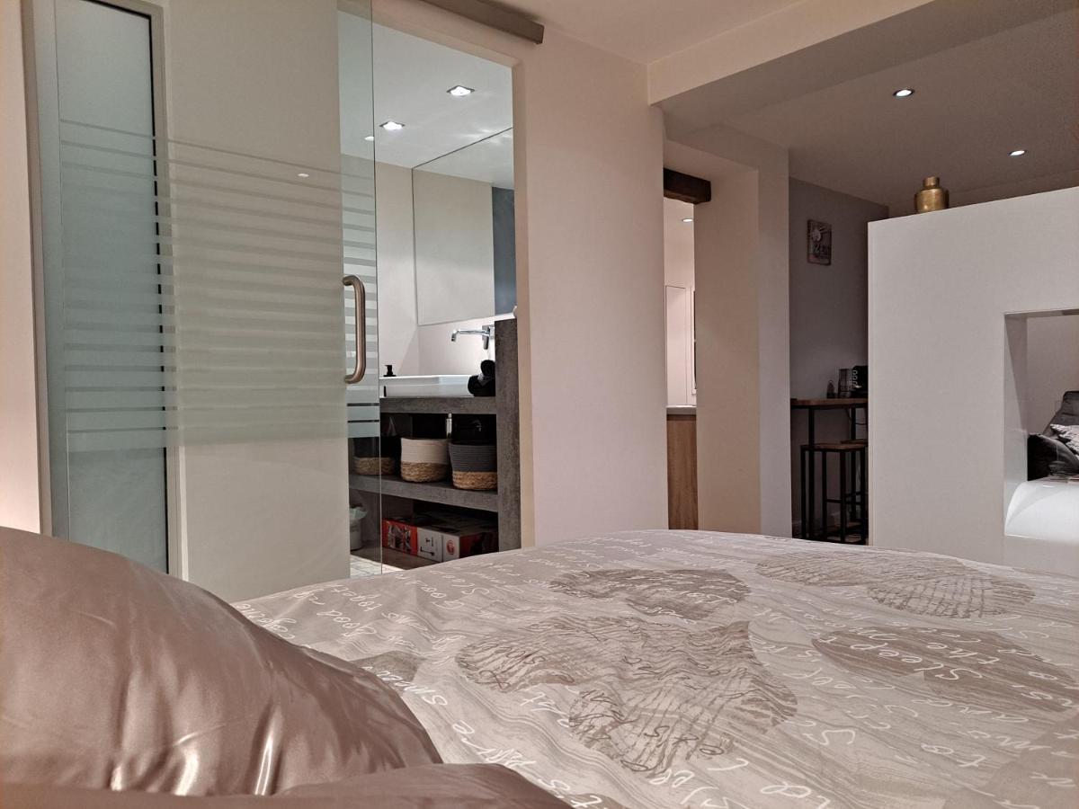 Boigne Sweet Suite Chambéry Kültér fotó